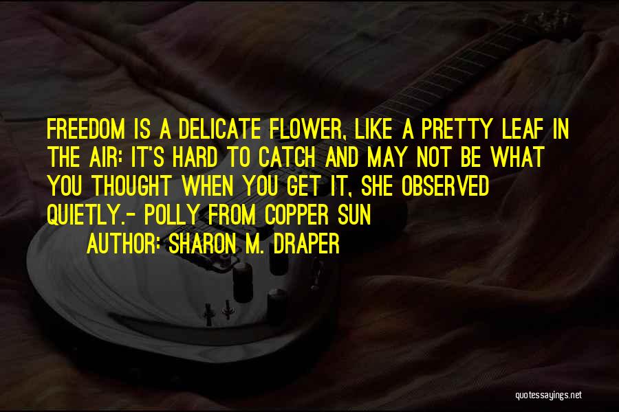 Sharon M. Draper Quotes 1449080