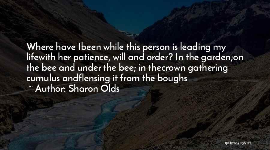 Sharon Olds Quotes 1537989
