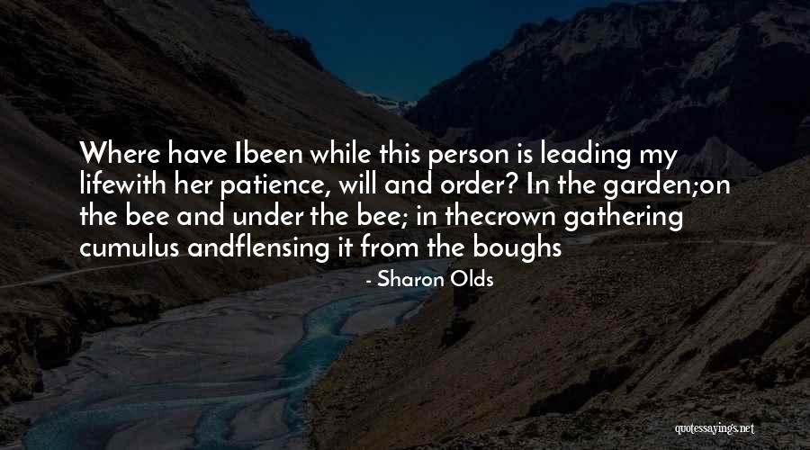 Sharon Olds Quotes 1537989