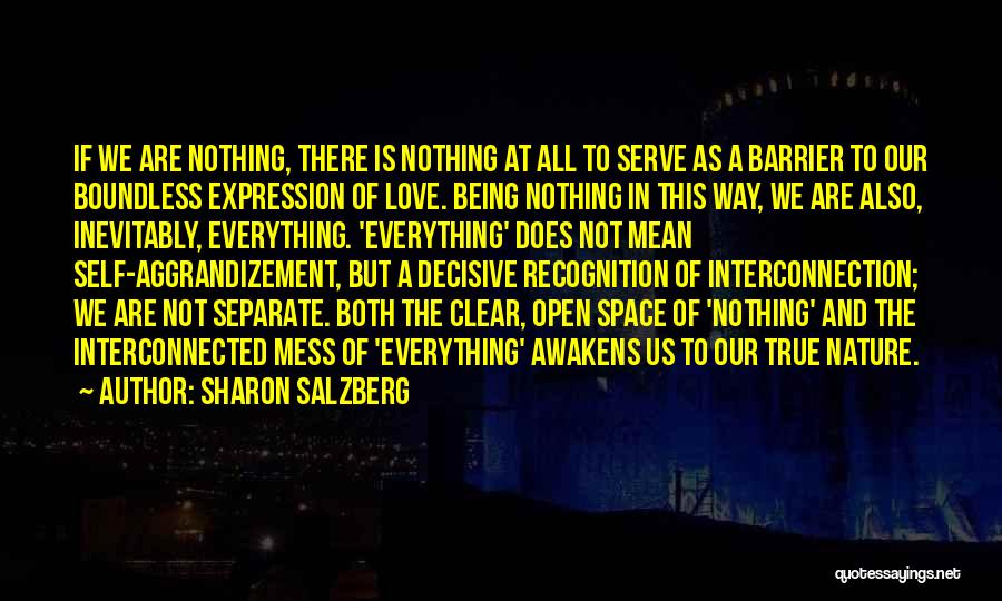 Sharon Salzberg Quotes 1066781