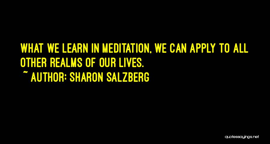 Sharon Salzberg Quotes 1528831