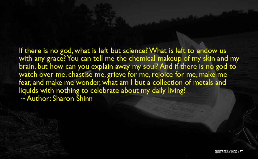 Sharon Shinn Quotes 714249