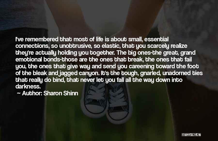 Sharon Shinn Quotes 741956