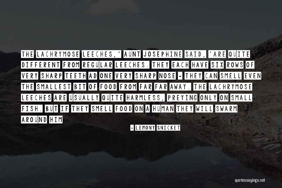 Sharp Nose Quotes By Lemony Snicket Sharp Nose Quotes By Lemony Snicket