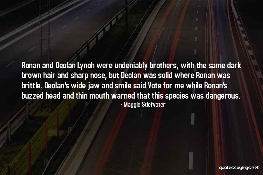 Sharp Nose Quotes By Maggie Stiefvater Sharp Nose Quotes By Maggie Stiefvater