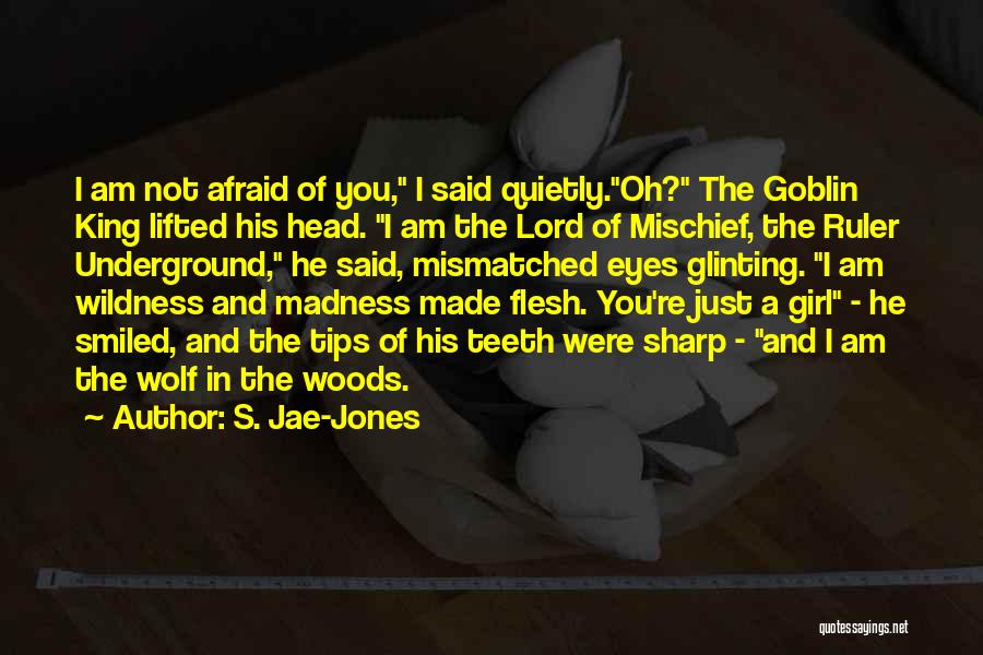 Sharp Teeth Quotes By S. Jae-Jones