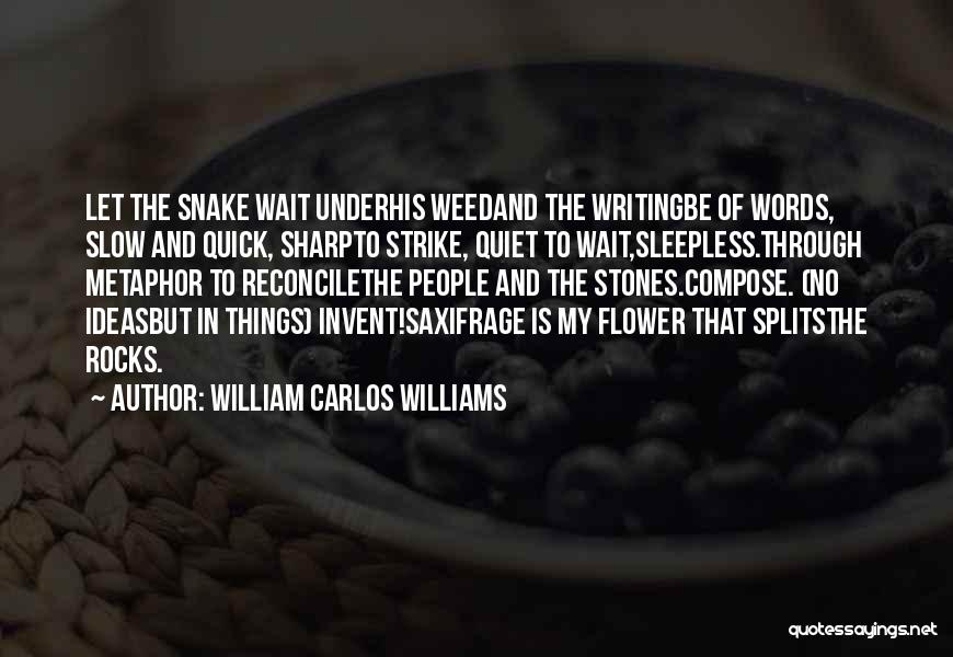 Sharp Things Quotes By William Carlos Williams