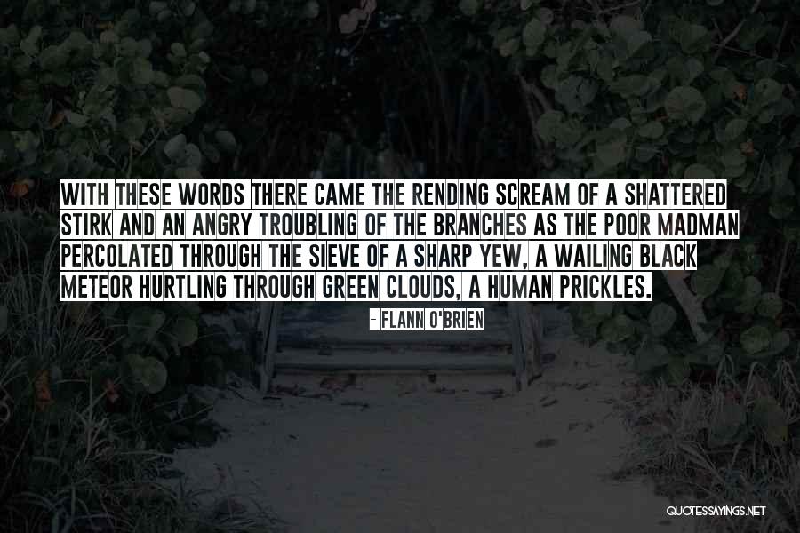 Sharp Words Quotes By Flann O'Brien Sharp Words Quotes By Flann O'Brien