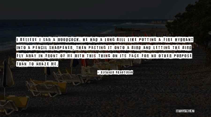Sharpener Quotes By Richard Brautigan Sharpener Quotes By Richard Brautigan