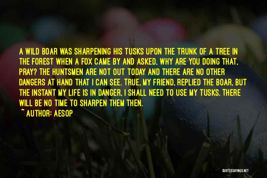 Sharpening Quotes By Aesop