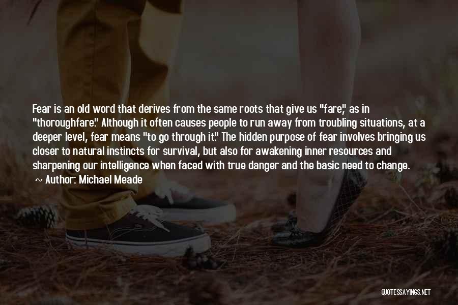 Sharpening Quotes By Michael Meade