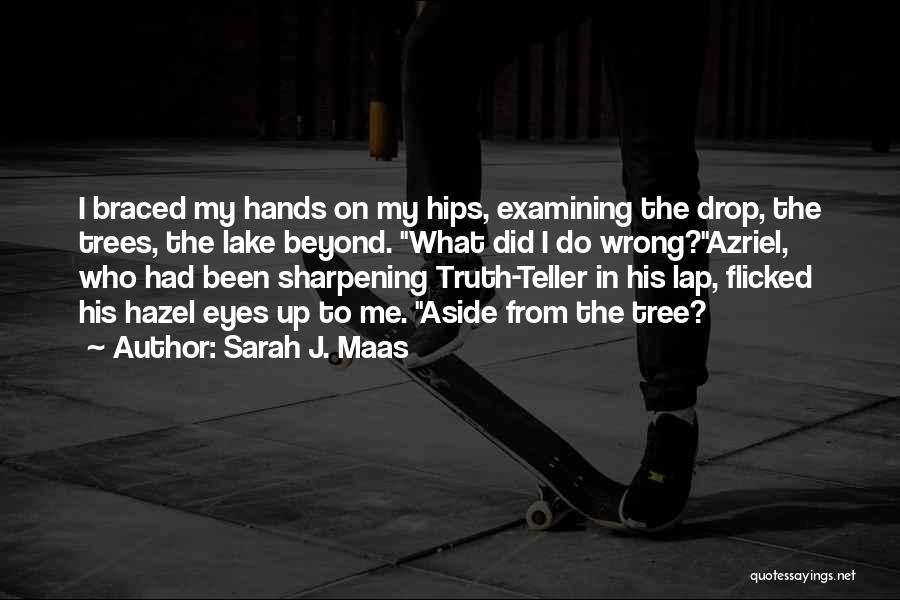 Sharpening Quotes By Sarah J. Maas