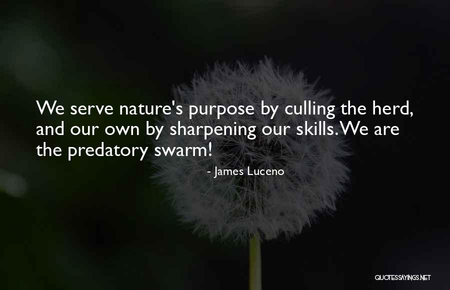 Sharpening Skills Quotes By James Luceno Sharpening Skills Quotes By James Luceno