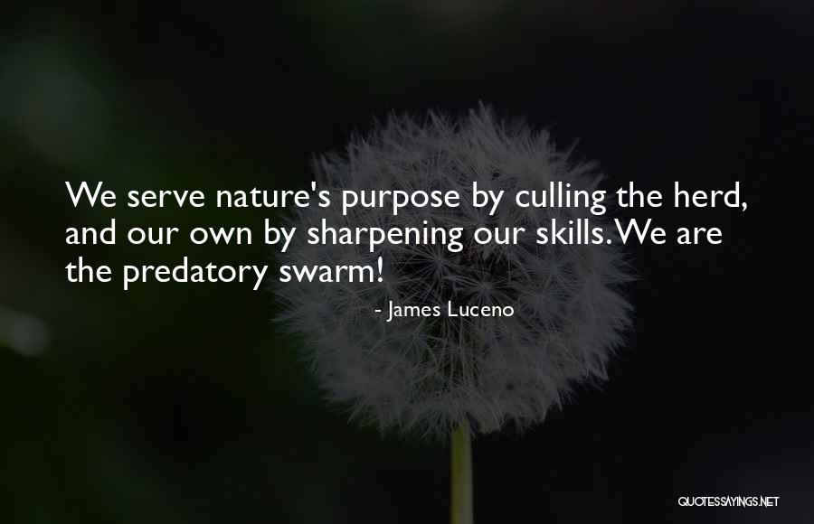 Sharpening Skills Quotes By James Luceno