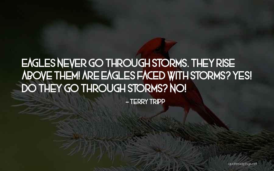 Sharyar Memon Quotes By Terry Tripp Sharyar Memon Quotes By Terry Tripp