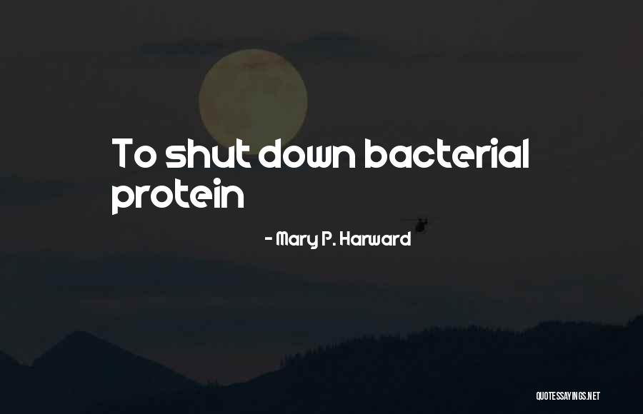 Shashi Kumars Age Quotes By Mary P. Harward Shashi Kumars Age Quotes By Mary P. Harward