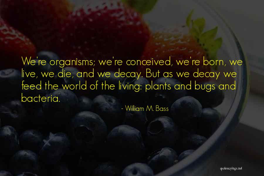 Shastri Indo Canadian Quotes By William M. Bass Shastri Indo Canadian Quotes By William M. Bass