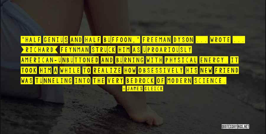 Shatenstein Cornelia Quotes By James Gleick Shatenstein Cornelia Quotes By James Gleick