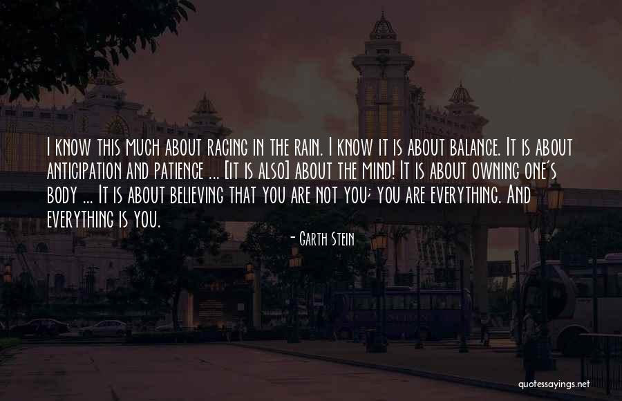 Shatrunjay Temple Quotes By Garth Stein Shatrunjay Temple Quotes By Garth Stein