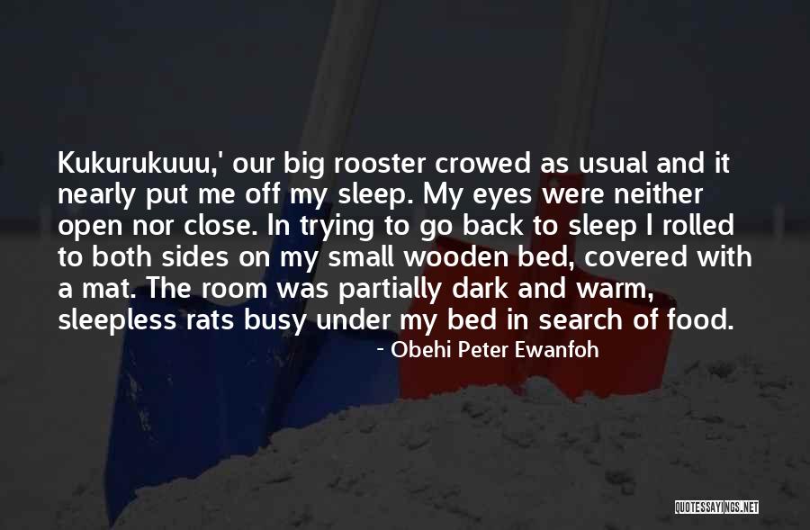 Shatter Doors Quotes By Obehi Peter Ewanfoh