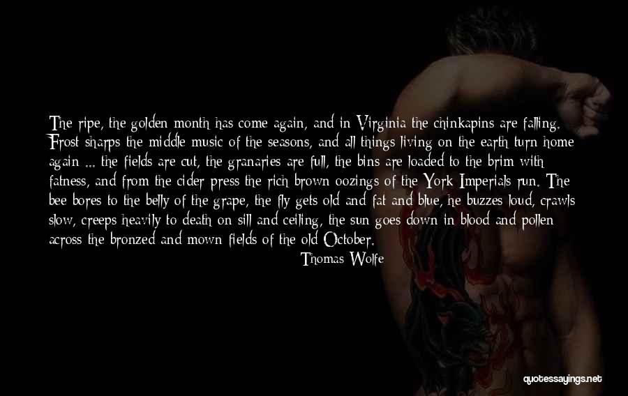 Shatter Me Movie Quotes By Thomas Wolfe Shatter Me Movie Quotes By Thomas Wolfe
