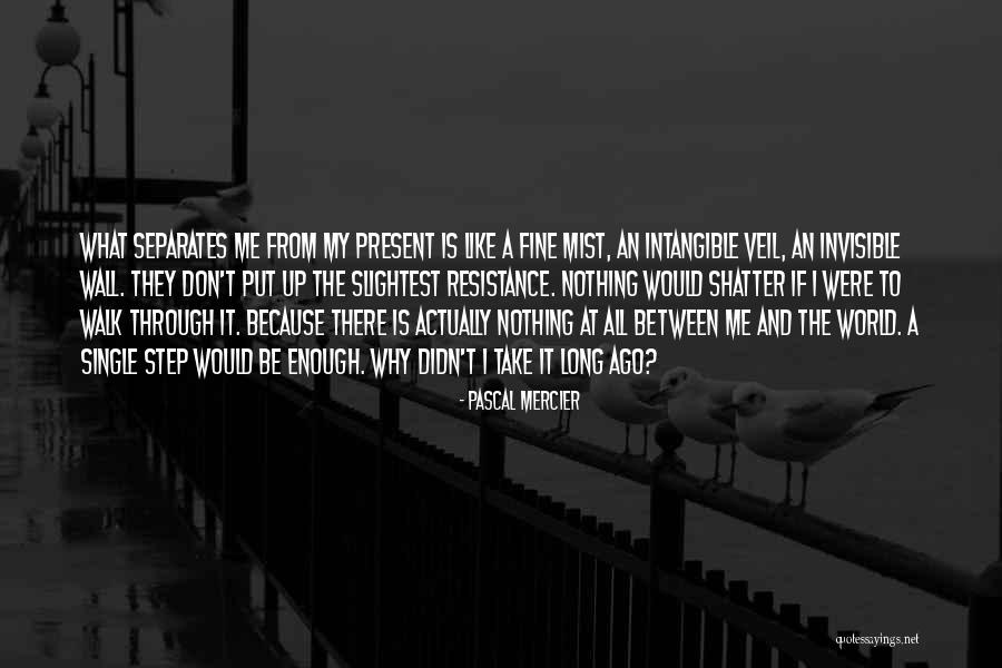 Shatter Me Quotes By Pascal Mercier Shatter Me Quotes By Pascal Mercier