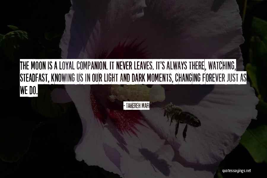 Shatter Me Quotes By Tahereh Mafi Shatter Me Quotes By Tahereh Mafi