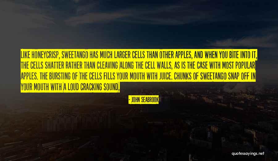 Shatter Quotes By John Seabrook Shatter Quotes By John Seabrook