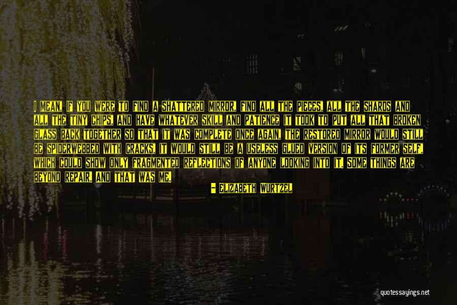 Shattered Into Pieces Quotes By Elizabeth Wurtzel Shattered Into Pieces Quotes By Elizabeth Wurtzel