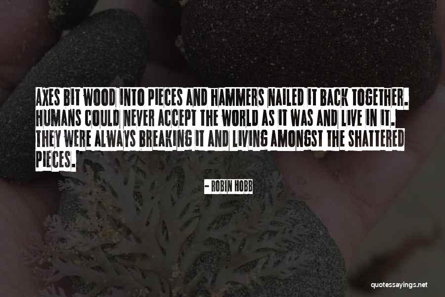 Shattered Into Pieces Quotes By Robin Hobb