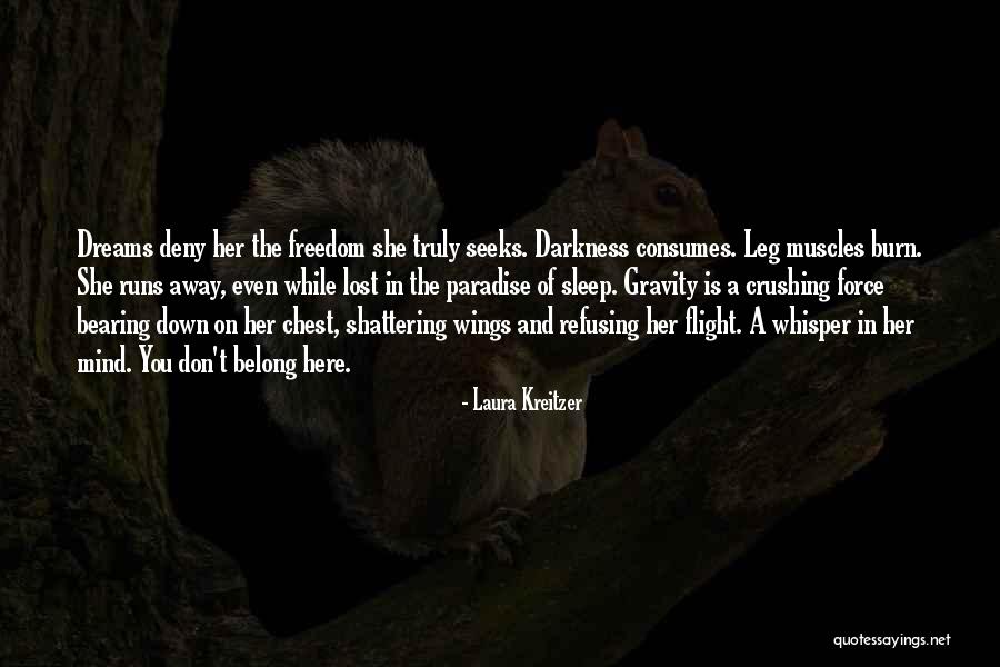 Shattering Dreams Quotes By Laura Kreitzer