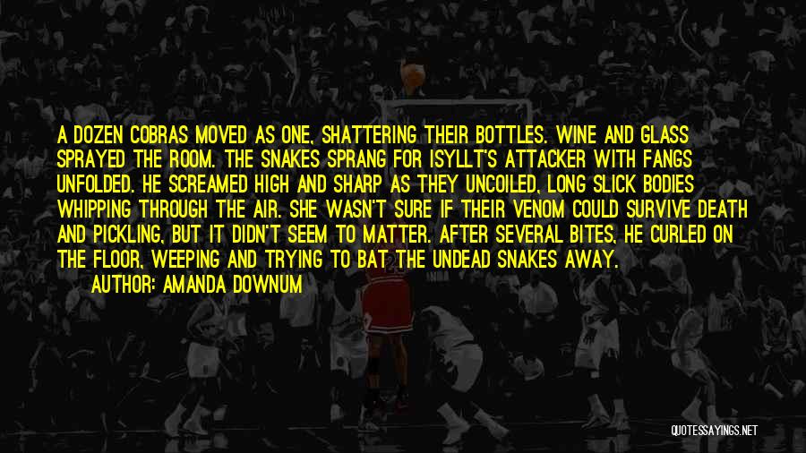 Shattering Glass Quotes By Amanda Downum