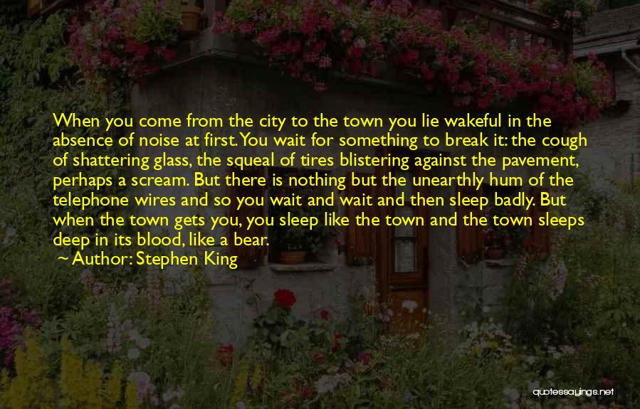 Shattering Glass Quotes By Stephen King