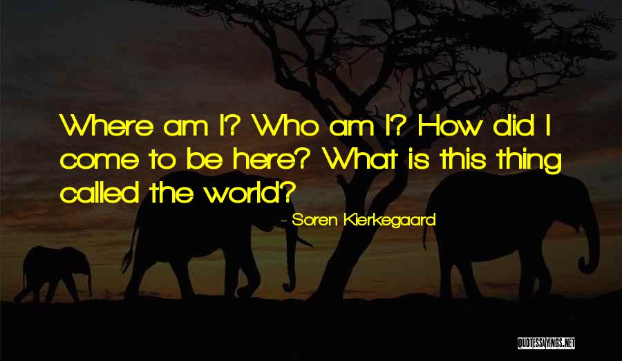 Shaub Cpa Quotes By Soren Kierkegaard Shaub Cpa Quotes By Soren Kierkegaard