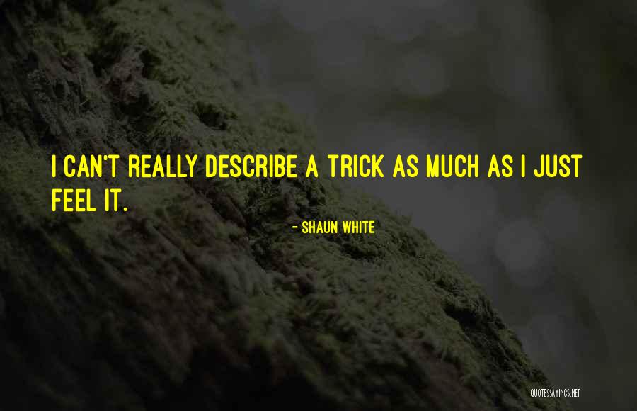 Shaun T Quotes By Shaun White Shaun T Quotes By Shaun White