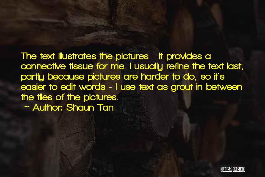 Shaun Tan Quotes 1303566