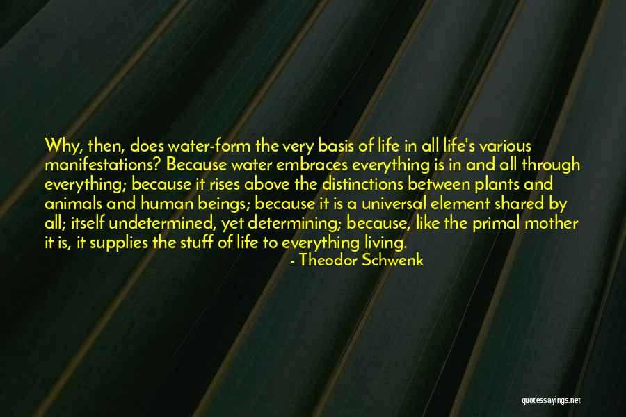 Shaunagh Haiola Quotes By Theodor Schwenk Shaunagh Haiola Quotes By Theodor Schwenk