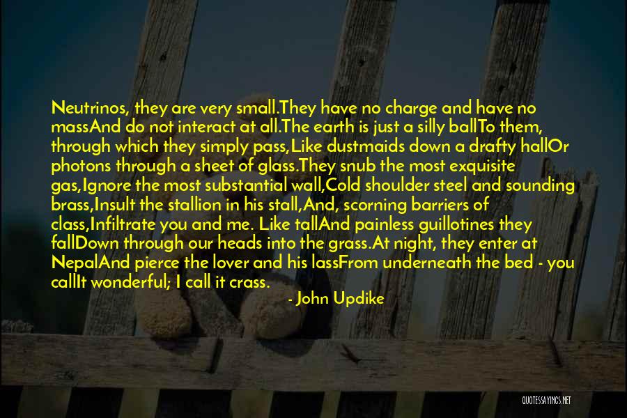 Shaundra Brown Quotes By John Updike Shaundra Brown Quotes By John Updike