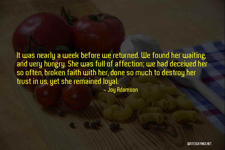 Shauntel Lindsey Quotes By Joy Adamson Shauntel Lindsey Quotes By Joy Adamson