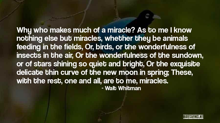 Shavelson Webb Quotes By Walt Whitman Shavelson Webb Quotes By Walt Whitman