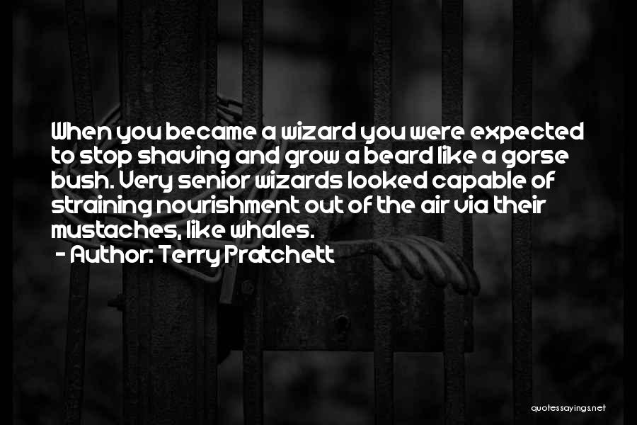 Shaving Beard Quotes By Terry Pratchett