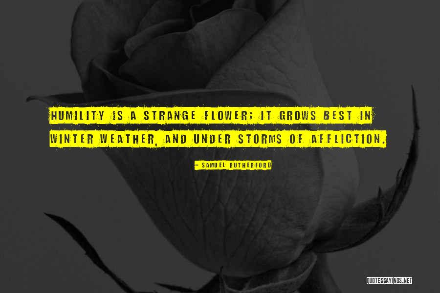 Shavis Higa Quotes By Samuel Rutherford Shavis Higa Quotes By Samuel Rutherford
