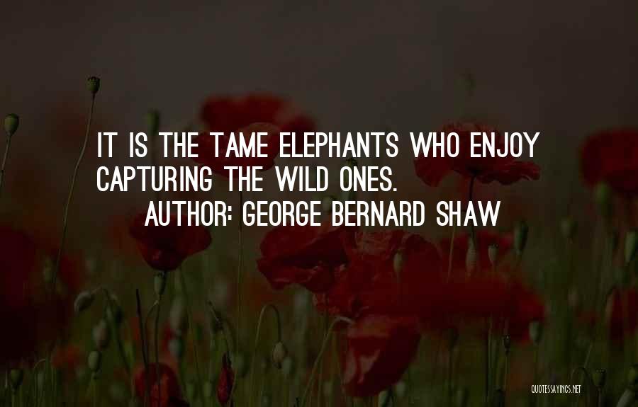 Shaw Quotes By George Bernard Shaw