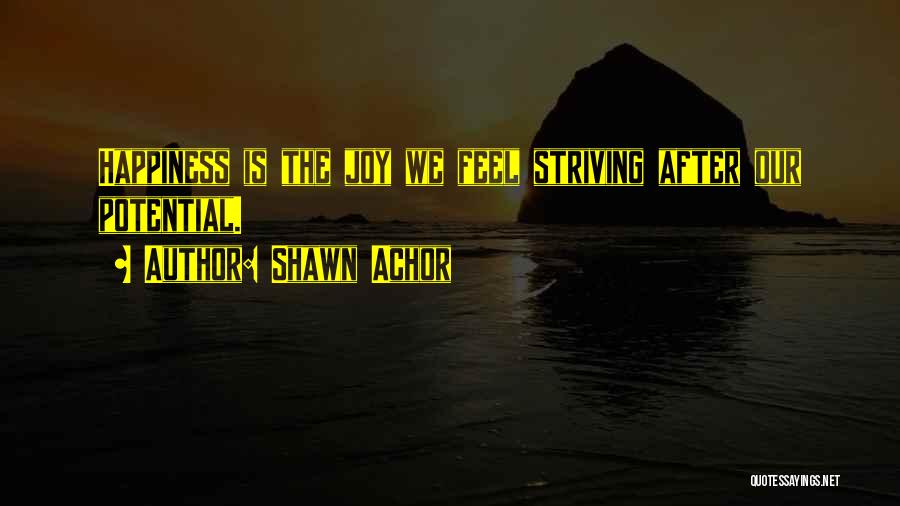 Shawn Achor Quotes 117753