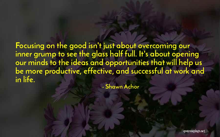 Shawn Achor Quotes 1671227