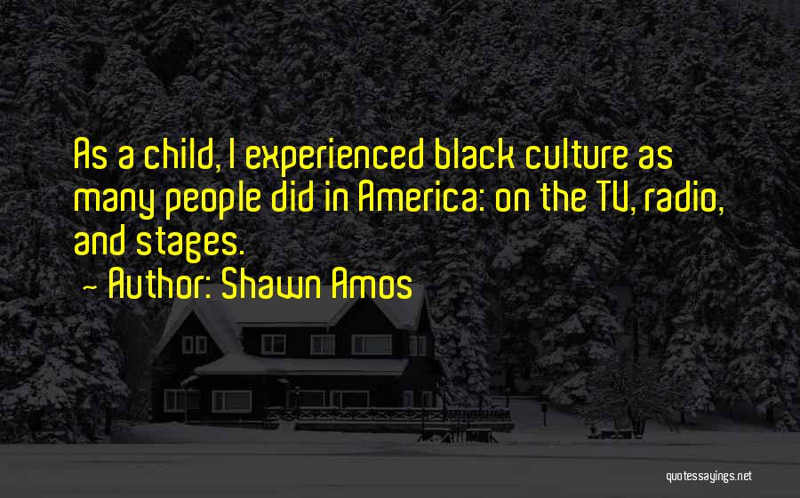 Shawn Amos Quotes 1734462