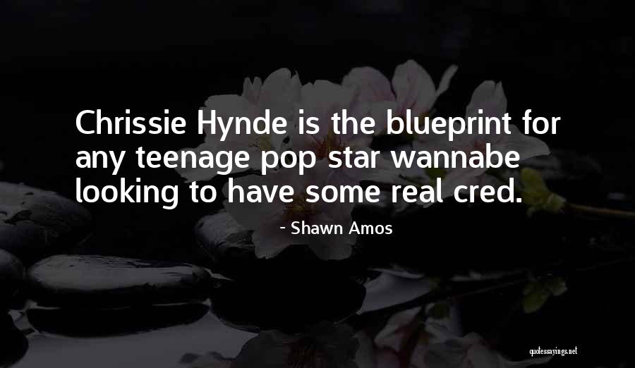 Shawn Amos Quotes 894993