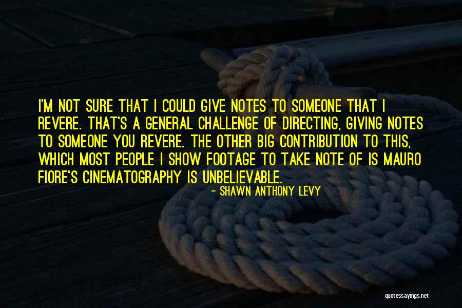 Shawn Anthony Levy Quotes 208126