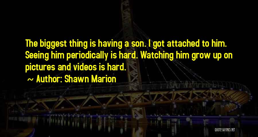Shawn Marion Quotes 301485