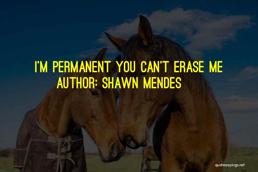 Shawn Mendes Best Quotes By Shawn Mendes